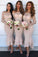 Long Sleeves Mermaid Sheath Lace Bridesmaid Dresses Elegant Wedding P94JNAQ1