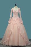 2022 V Neck Quinceanera Dresses Ball Gown Long Sleeves Tulle PZNRP2BC