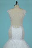 2022 Mermaid Spaghetti Straps Tulle Wedding Dresses With Applique PA2HR8DC