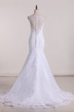 2022 Mermaid Scoop Tulle With Applique Court Train PZGN719T