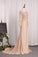 2022 Mermaid Spandex V Neck Long Sleeves Prom Dresses With Applique PY3MZ3YZ