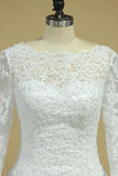 A Line Long Sleeves White Lace Appliques Satin Beads Open Back Wedding Dresses