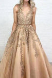 Ball Gown Gold Lace Long Prom Dresses with Appliques V Neck Tulle Evening Dresses
