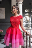 2022 Red Lace Appliques Top Cap Sleeves Multi Colors Tulle Short Homecoming Dresses
