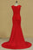 2022 Mother Of The Bride Dresses V Neck With Applique Spandex Sweep Train PHNH4LCJ